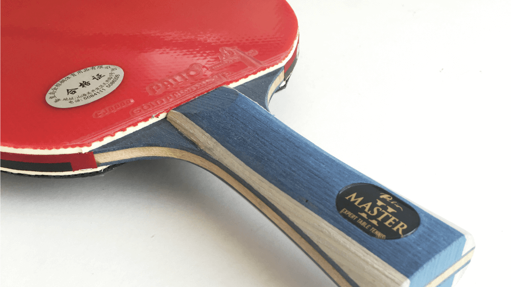 Palio Master 2 Review: A Beginner-Friendly Paddle at an Affordable Price! (2023)
