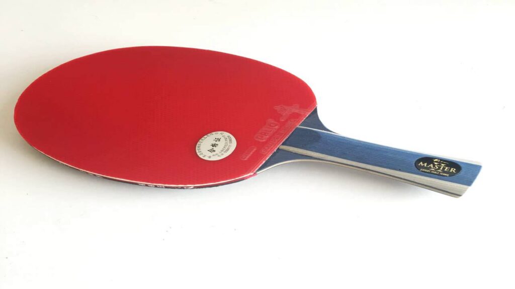 Palio Master 2 Review: A Beginner-Friendly Paddle at an Affordable Price!